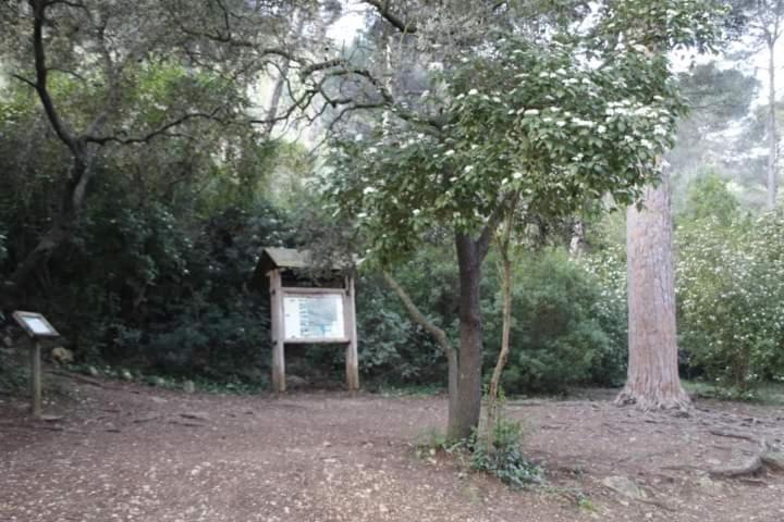 Casa Rural Ca Xelo Διαμέρισμα Polinya de Xuquer Εξωτερικό φωτογραφία